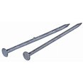 thumbnail image 1 of HILLMAN FASTENERS 461292 50 lb 6" 60D Galvanized Common Nail, 1 of 2