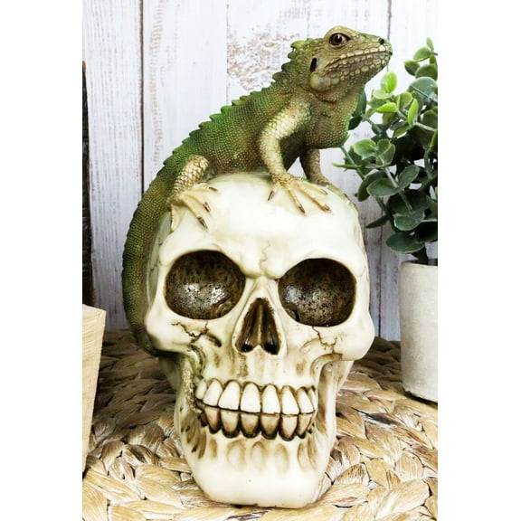 Jointed Human Skull With Iguana Lizard Figurine Halloween Spooky Macabre Decor