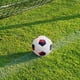 thumbnail image 2 of Balón de fútbol Zulema tamaño 5 rojo azul, 2 of 6
