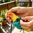 thumbnail image 6 of Portable Bird Carrier Bag,Comfortable Fit Parrot Travel Pouch with Adjustable Neck Opening,Breathable Mesh Anti-Escape Carrier for Birds,Conures,Lovebirds,Cockatiels,Budgies (Small), 6 of 9