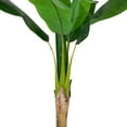 thumbnail image 5 of Northlight 4' Artificial Tropical Banana Tree in a Clay Pot, 5 of 7