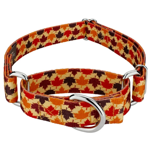 Country Brook Petz® Nature Walk Martingale Dog Collar Limited Edition, Extra Large