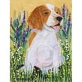 thumbnail image 1 of Carolines Treasures SS8219GF Drapeau d'Épagneul de Printemps - Taille du Jardin, 1 of 3