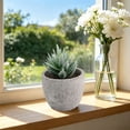 thumbnail image 3 of Small Fake Plants Realistic Lifelike Artificial Potted Succulents, Mini Durable Plastic 2.7x2.6x2.6 in with Pot Faux Plants for Home Office, Kitchen, and Indoor Table Decor, 3 of 6