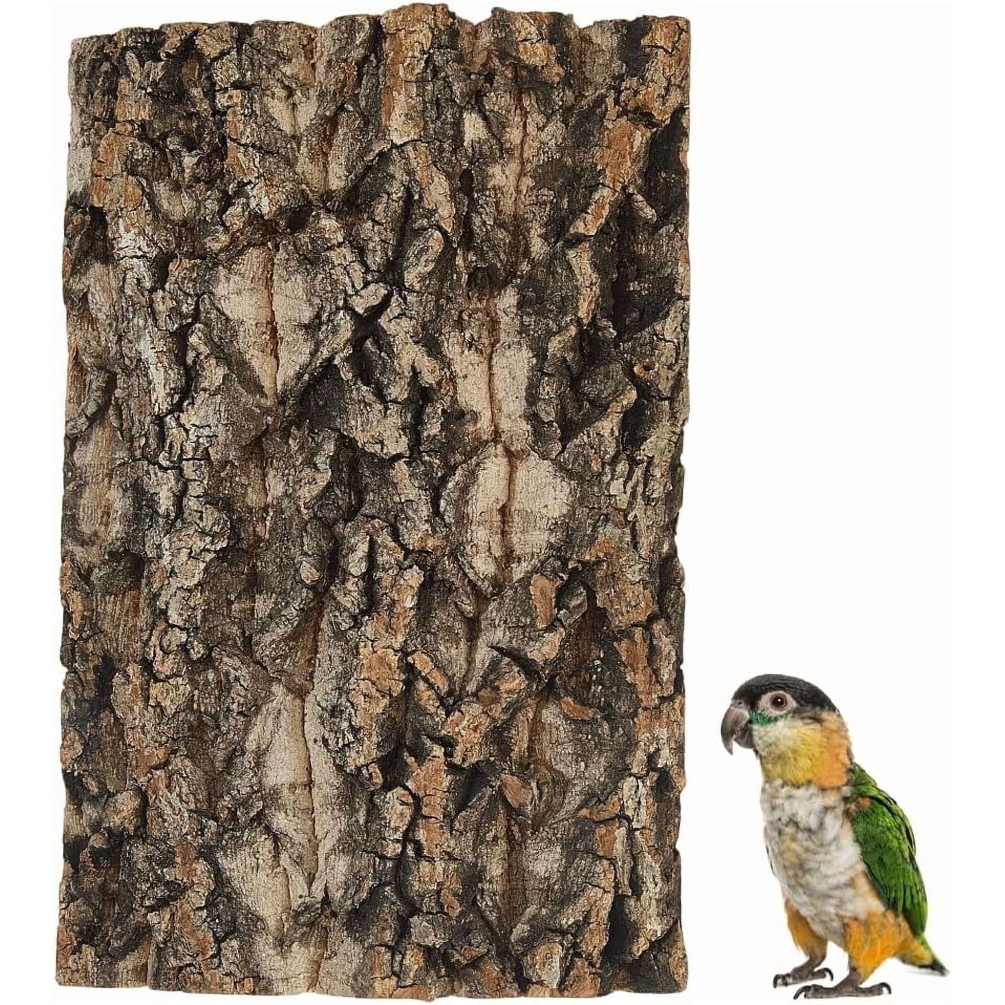 1 pc Natural Wood Bark Cork Bird Bearded Dragons Seat Boards Mat Habitat Perch Birdcage Decor Reptile Climbing Accessories