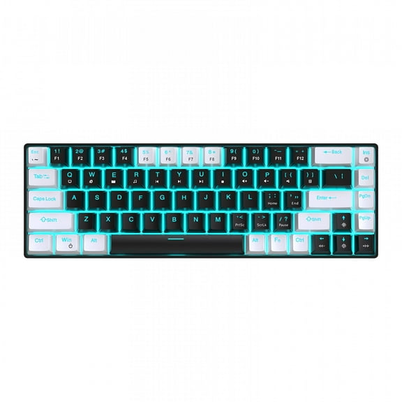 GJX Mechanical Keyboard, Computer Keyboard, Blue Backlit 65% Compact Ergonomic Design USB Wired Gaming Keyboard Blue Switch for Desktop, PC, Home