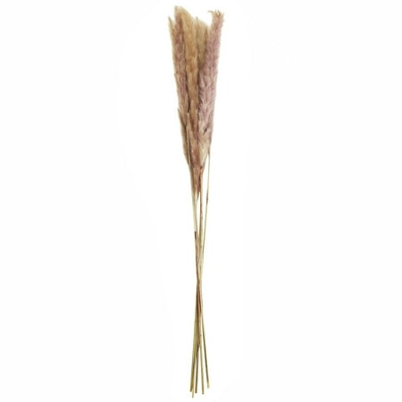UPC: 0195158776126 | Mini Natural Brown Pampas Bunch by Ashland®