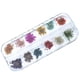thumbnail image 1 of Dried Flowers For Nail And Resin Jewellery 12 Pcs 3d Nail Art Stickers Decoration-Manicure Dcoration, 1 of 3