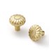 thumbnail image 1 of Pomos de armario JIASENBAO, aleación de zinc, 3,2 cm, oro cepillado, paquete de 2, 1 of 8