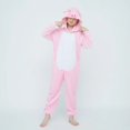 thumbnail image 1 of Conjunto de pijamas con capucha para niños y niñas, ropa de dormir de invierno con dibujos de unicornios y animales, de Animal de franela, para pijamas para chicos xuanjing unisex, 1 of 2