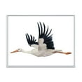 thumbnail image 1 of Designart Flying White Stork Ciconia Bird FLOAT FRAME WALL ART, 1 of 4