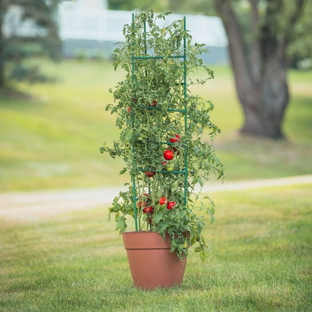 Gardner's Blue Ribbon Ultomato Tomato Plant Cage Green, (Best Material To Tie Tomato Plants)