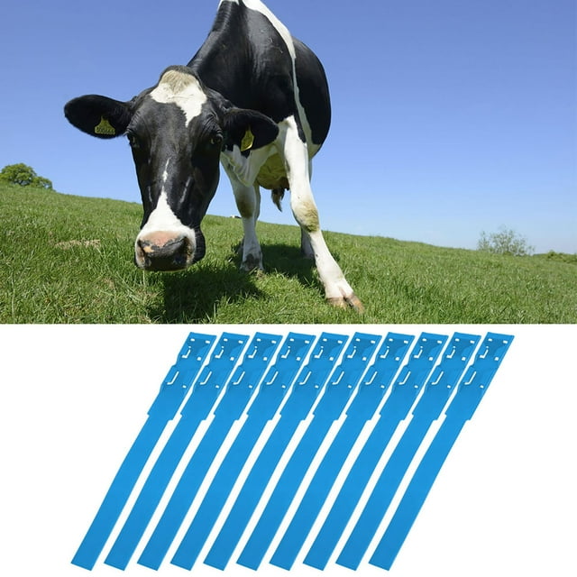 Bandes de Marquage Colliers d'Identité pour Bovins Bétail Ferme