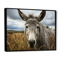 thumbnail image 2 of Designart "Gentle Companion Grey Donkey" Animals Floater Framed Wall Decor, 2 of 7