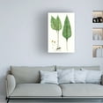 thumbnail image 3 of Vision Studio 'Fern Foliage VI' Canvas Art, 3 of 3