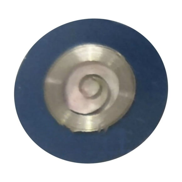 Dependable Mainspring for ETA 2892A2 Mechanisms Maintain Swiss Watch's Precision