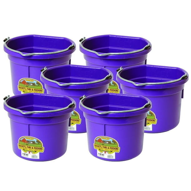 Little Giant 2 Gallon All Purpose Flat Back Plastic Bucket Purple 6 Pk