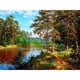 thumbnail image 1 of 30x40cm 5D Pintura de diamante de bricolaje completa, Paisaje de puesta de sol, Pintura de punto de cruz de lienzo de diamantes de imitación de diamante de bricolaje por número para decoración de pared Adultos niños brillar Electrónica, 1 of 5