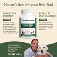thumbnail image 3 of Supplement Real Mushrooms Support pour Animaux Queue de Dinde 90 Capsules, 3 of 8