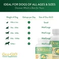 thumbnail image 2 of Ocu-GLO Vision Supplement for Small Dogs by Animal Necessity with Lutein, Omega-3 Fatty Acids, Grape Seed Extract and Antioxidants to Promote Eye Health in Dogs, 90ct Liquid Gelcaps, 2 of 6