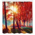 thumbnail image 3 of Ambesonne Tree Shower Curtain, Foggy Autumnal Park Scenic, 69"Wx84"L, Orange Yellow Teal, 3 of 3