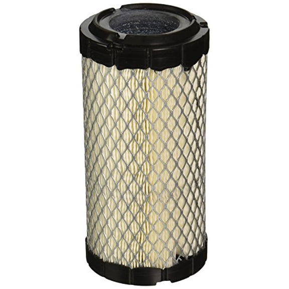 Donaldson Primary Radials P822686 Engine Air Filter