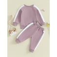 thumbnail image 2 of Lamuusaa Baby Girls 2Pcs Outfit,Long Sleeve Crew Neck Sweatshirt with Elastic Waist Sweatpants Fall, 2 of 9