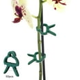 View all media