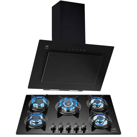 Combo Parrilla a Gas AVERA VT5 Campana de Pared 90 cm CEV90C
