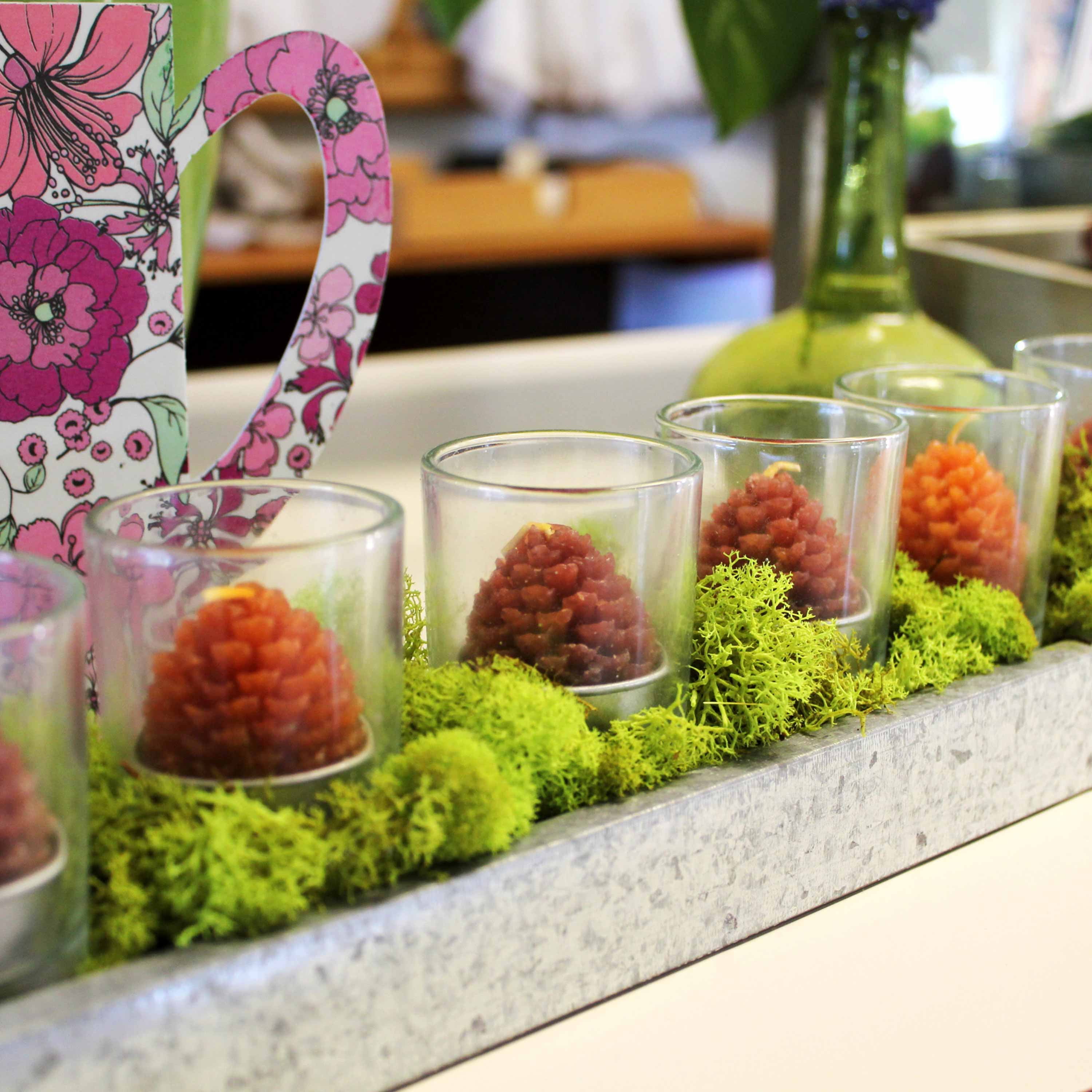 ProFlora Preserved Reindeer Moss, Chartreuse Green