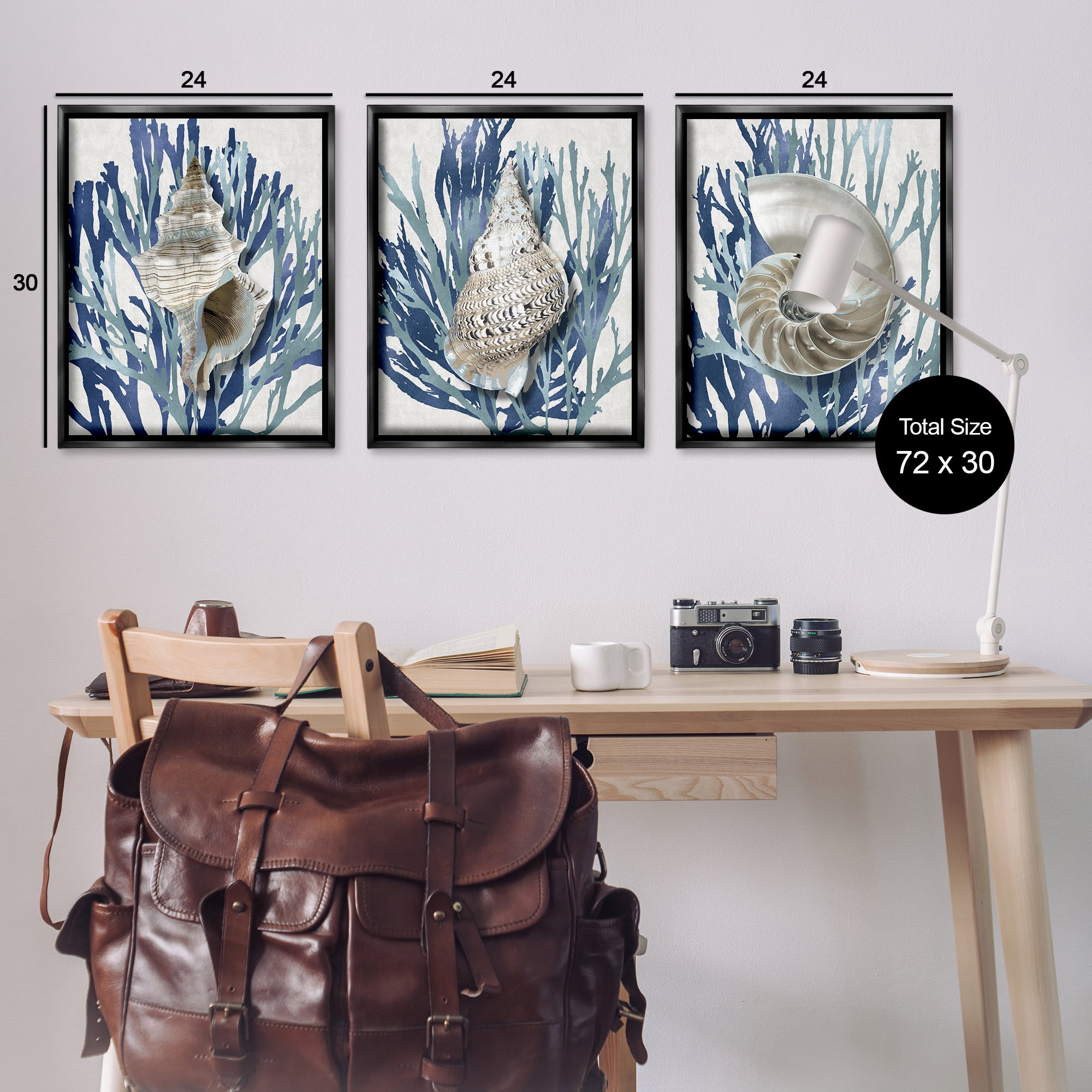 Stupell Industries Trio of Shells & Coral Nature Painting Black Floater Framed Canvas Art Print Wall Art, 25 x 31, Set of 3