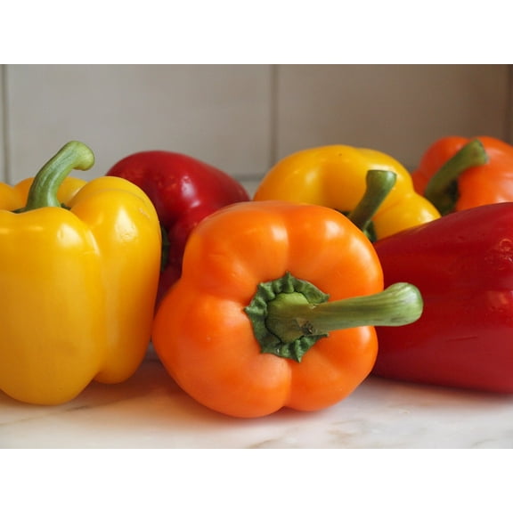 Tasty Colorbell Pepper Plant - 4" Pot - Green/Yellow/Red/Orange