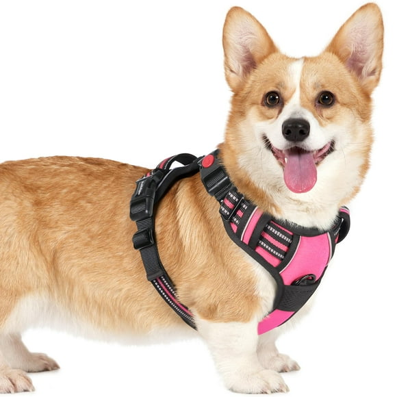 rabbitgoo Harnais pour Chien Petite Race, Harnais pour Animaux Sans Traction avec 3 Boucles, Gilet pour Chien Rembourré Réglable avec Poignée de Contrôle Instantanée, Marche Facile Gilet Réfléchissant pour Animaux, Rose Rose, P