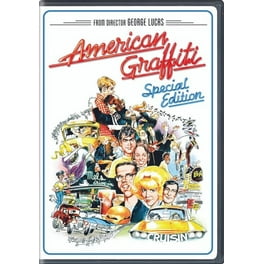 The Hollywood Knights (DVD) - Walmart.com
