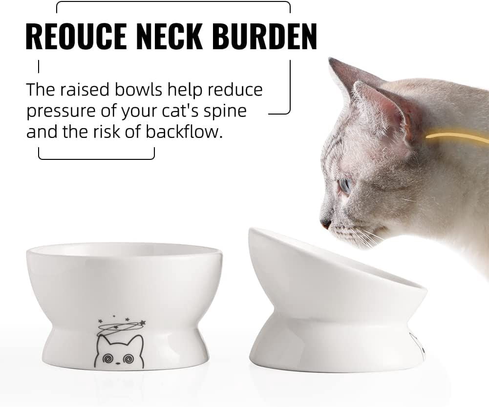 SWEEJAR Raised Cat Bowls Set, Tilted Food Bowl and Deep Water Bowl, Ceramic Pet Bowl Collection for Cats and Small Dogs, Set of 2 (White)