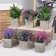 thumbnail image 4 of Decoración hogareña Planta artificial de Gwong con la olla de flores que atrapa el arreglo de flores de boda de plástico para el hogar Gwong 21081097, 4 of 6