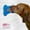Blue, variant on Lick Lick Pad Dog Distraction Device by Perfect Curve, 100% Food-Grade Silicone, PBA Free, Large, Blue