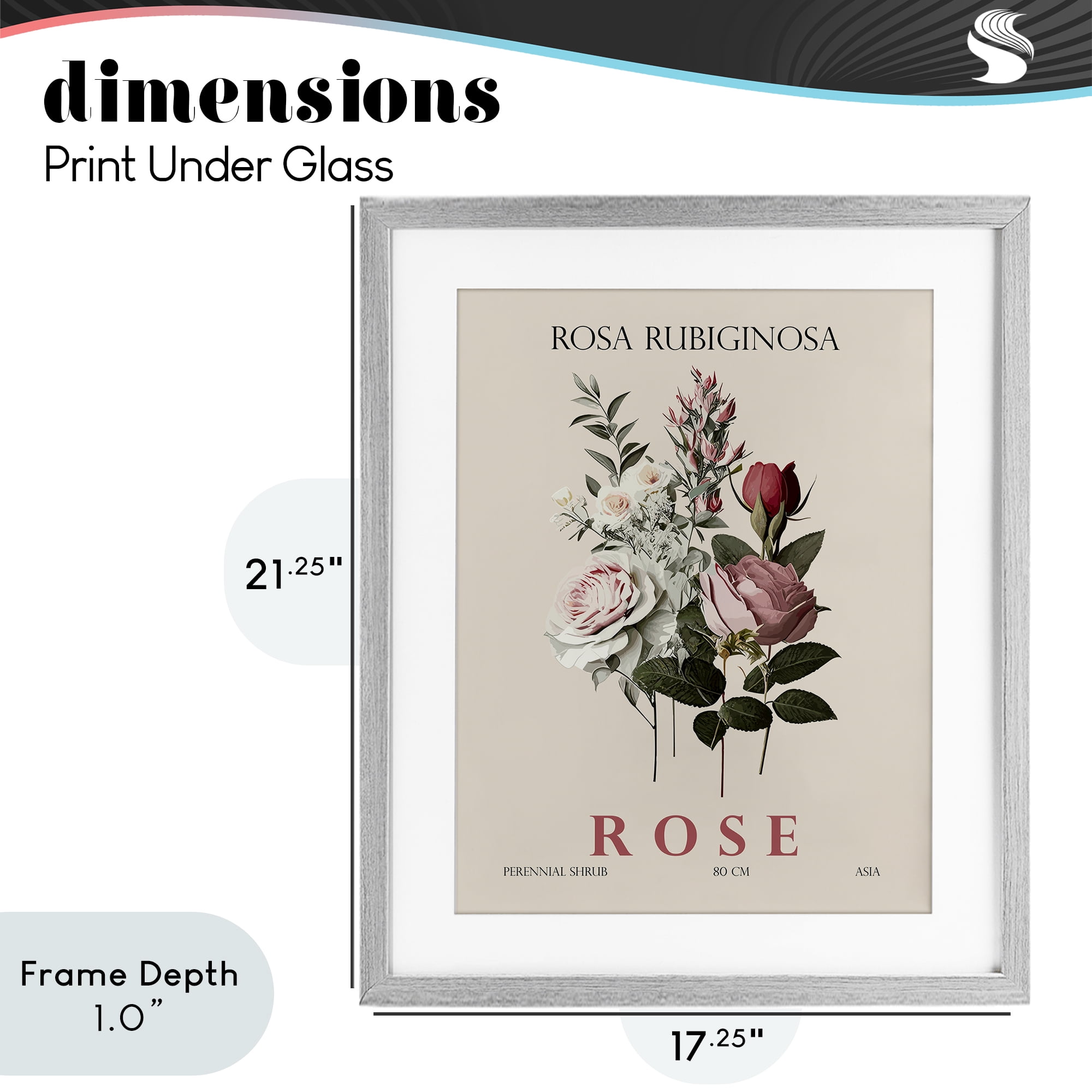 Stupell Industries Natural Rose Bundle Gray Framed Print Under Glass, design by Christopher Giampietro