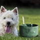 thumbnail image 3 of Comedero para mascotas, accesorio para mascotas, lona expandible, dispensador portátil, contenedor para perros Verde, 3 of 7