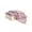 Q1, variant on Kitchen Towels,Cleaning Dishcloths,Microfiber Nonstick Oil Washable Fast Drying Cloths for Kitchen Wiping,Household Cleaning,11.81x11.81 Inch,Pink