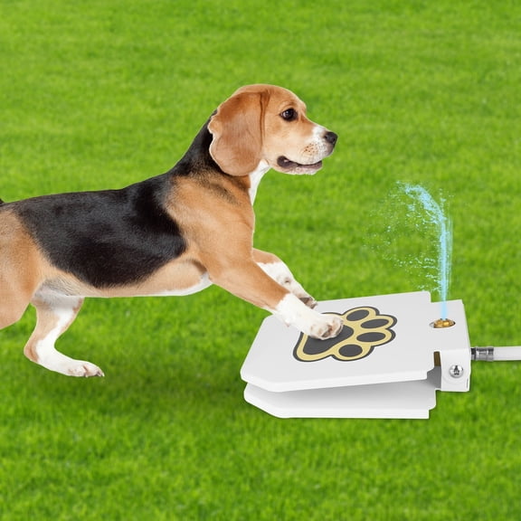Dog Water Fountain iMounTEK Outdoor Drinking Water Toy for Medium Large Dogs Paw Activated Water Fountain Step On Dog Sprinkler with 39.4" Hose