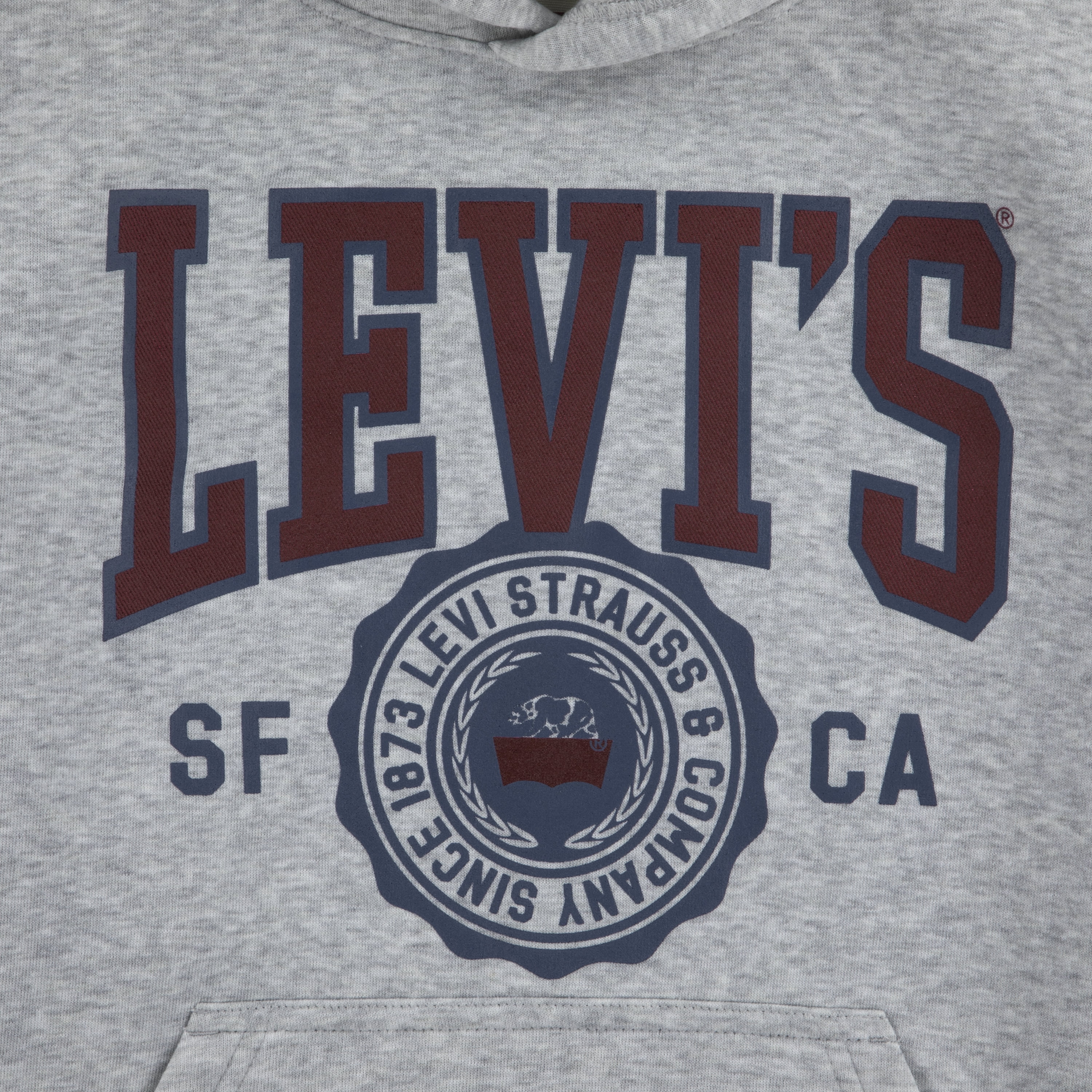 Levi's Boys Sporty Hoodie, Size 8-20