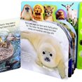 10Button Sound Books Discovery Noisy Baby Animals! (Board book)