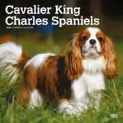 Cavalier King Charles Spaniels | 2024 12x24" (Hanging) Wall Calendar | BrownTrout