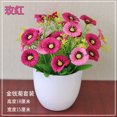 thumbnail image 3 of Simulate Flower Shape Bonsai Decoration for Home Office Living Room Window, 3 of 7