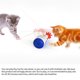 thumbnail image 3 of Wdftyju Multifuncional Cat Laser Teaser Squeak Toy Gatito Juguetes interactivos Suministros para mascotas Wdftyju 5sl8mg4dv1yc9ha2D01, 3 of 9