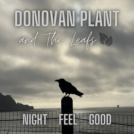 Plant,Donovan & the Leaves - Night Feel Good Ep - Music & Performance - CD