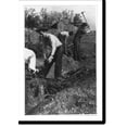 thumbnail image 2 of Historic Framed Print, CCC enrollees doing soil conservation work, 17-7/8" x 21-7/8", 2 of 9