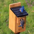 thumbnail image 2 of Wild Wings WWCH3 Cedar Blue Bird Box House, 2 of 7