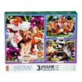 thumbnail image 1 of Ceaco Harmony-Paquete múltiple 3 en 1 Ceaco 783318484532, 1 of 1